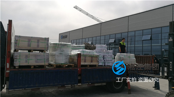 济南循环泵DN250法兰式金属软管
